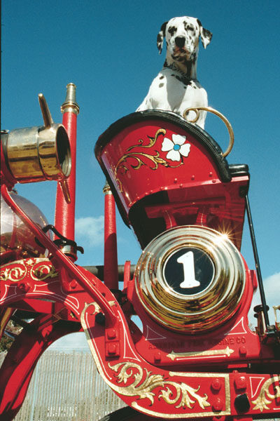 steamer_3.jpg steamer_3.jpg