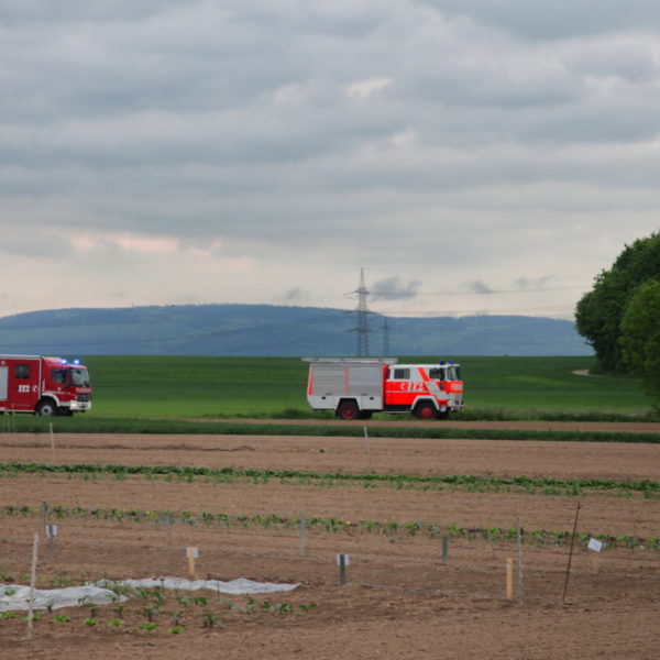 IMG_4907g.jpg IMG_4907g.jpg