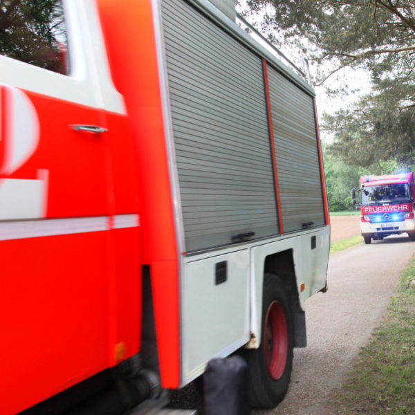 IMG_4915g.jpg IMG_4915g.jpg