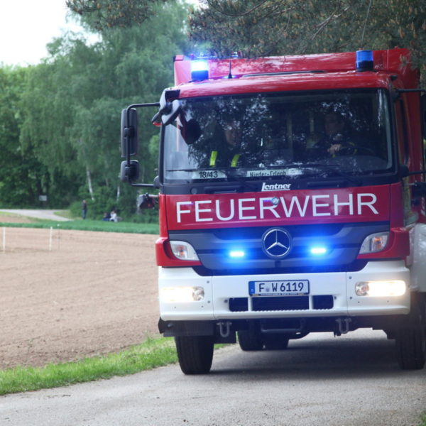 IMG_4917g.jpg IMG_4917g.jpg