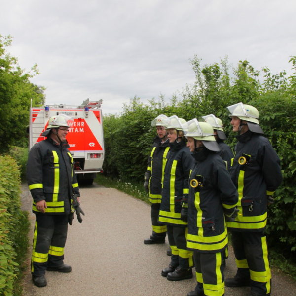 IMG_4934g.jpg IMG_4934g.jpg