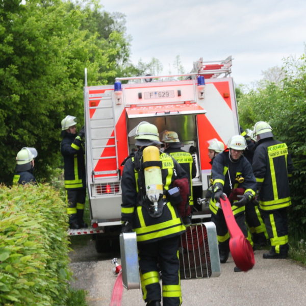 IMG_4942g.jpg IMG_4942g.jpg