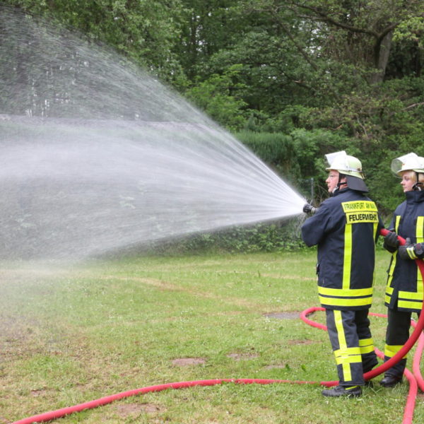 IMG_4965g.jpg IMG_4965g.jpg