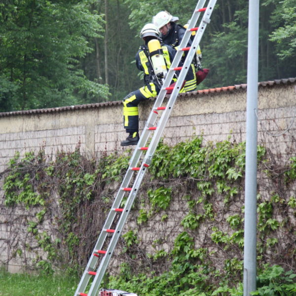 IMG_4999g.jpg IMG_4999g.jpg