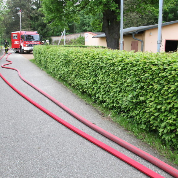 IMG_5014g.jpg IMG_5014g.jpg