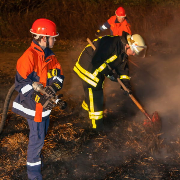 Martinsfeuer_2013_049.jpg Martinsfeuer_2013_049.jpg