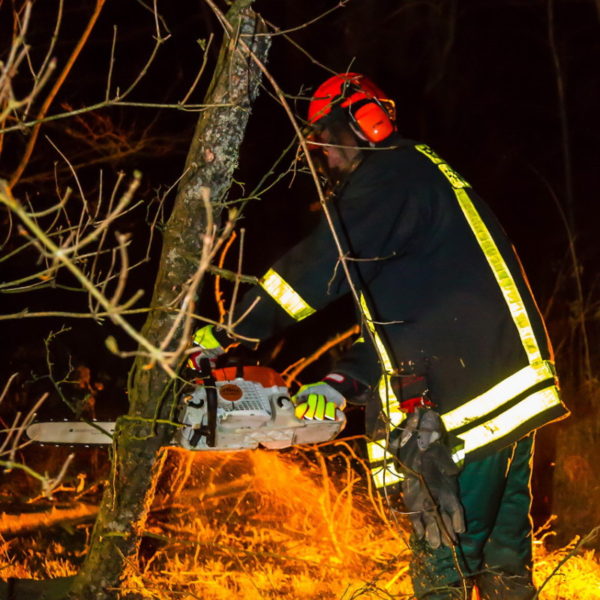 28.01.2016 Übung Kettensäge am Schützenhaus