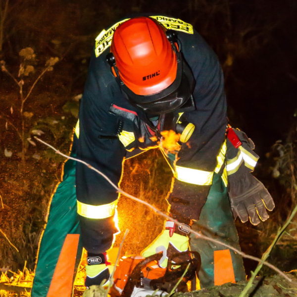 28.01.2016 Übung Kettensäge am Schützenhaus