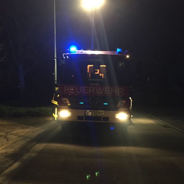 WhatsApp Image 2018-03-06 at 20.46.54 WhatsApp Image 2018-03-06 at 20.46.54